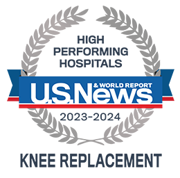 2023 High Performance Badge - Knee Replacement
